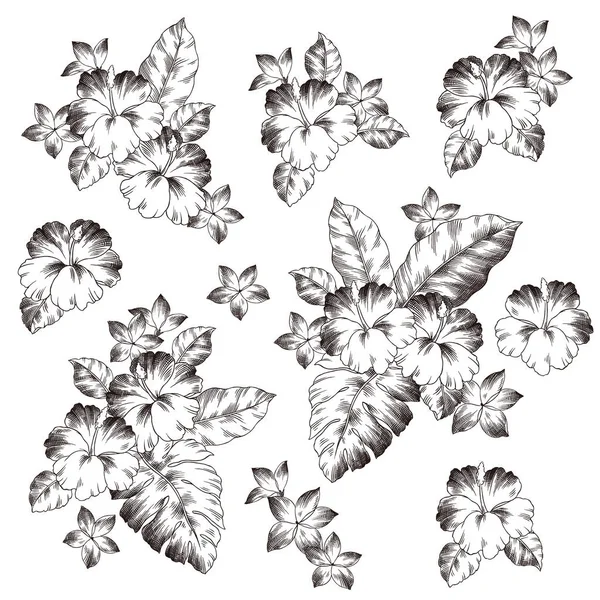 Beautiful Hibiscus Flower Material Vector Illustration Drew Hibiscus Designing — Stock Vector