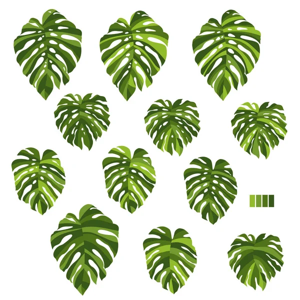Krásné Tropické Rostliny Pozadí Ilustrační Materiál Vektorová Práce — Stockový vektor