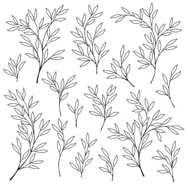 Çok güzel bir tropikal bitki arkaplan çizimi malzemesi. Tropikal bir bitki tasarladım.,