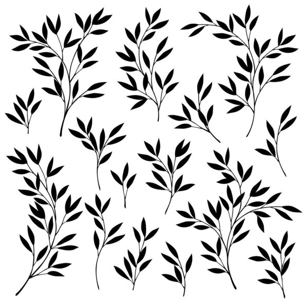 Красивый материал для иллюстрации тропических растений, я спроектировал тропическое растение, это векторная работа
,