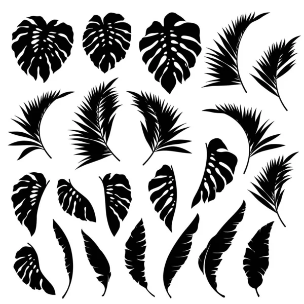 Hermosa Planta Tropical Fondo Material Ilustración — Vector de stock