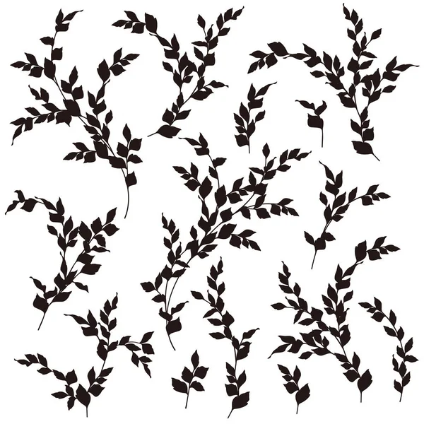 Sziluett Illusztrációja Növény Amely Szép Egyszerűség — Stock Vector
