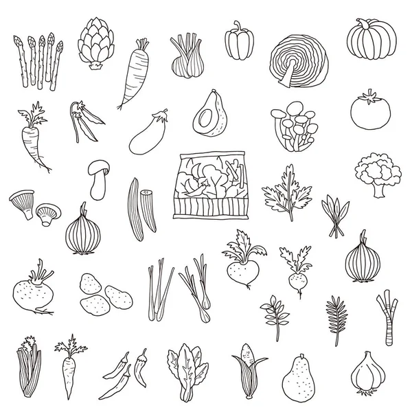 İlginç sebze örnekleri topladım ve ilginç bir şekilde sebzeleri ifade ettim.,