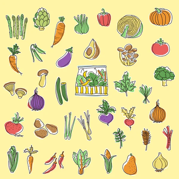 Colección Ilustraciones Verduras Interesantes Expresé Verduras Interesantemente — Archivo Imágenes Vectoriales