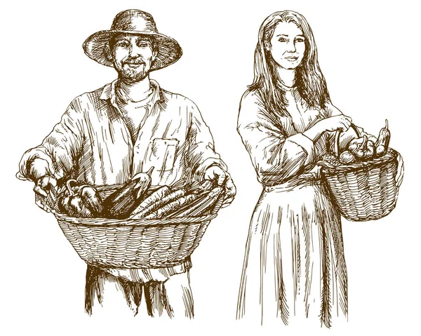 Jardineiro Cesta Legumes Colhidos Ilustração Desenhada Mão —  Vetores de Stock