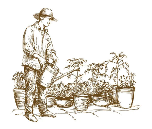 Man Planten Water Geven Hand Getekende Illustratie — Stockvector