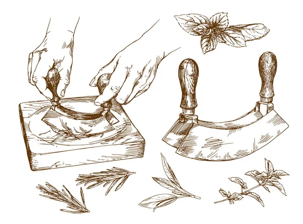 Cortando Ervas Com Uma Faca Mezzaluna Conjunto Desenhado Mão —  Vetores de Stock