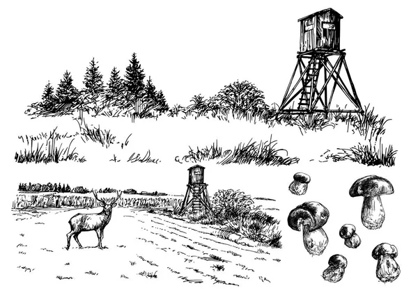 Krajobraz Nogami Jelenia Ilustracja Wektorowa — Wektor stockowy