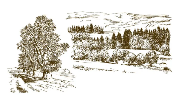 Kırsal alan. El çizimi set.