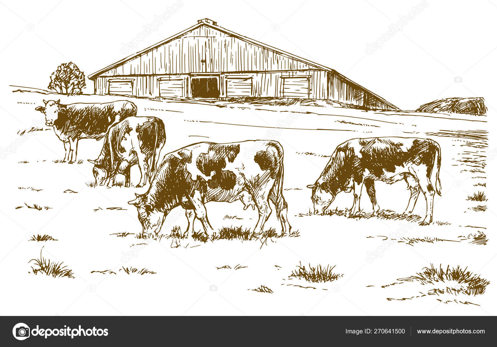 Cowshed Drawing