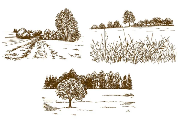 Rural landscape. Hand drawn set. — Stock Vector