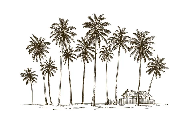 Cabane de village traditionnelle avec cocotiers à Java île, Indon — Image vectorielle