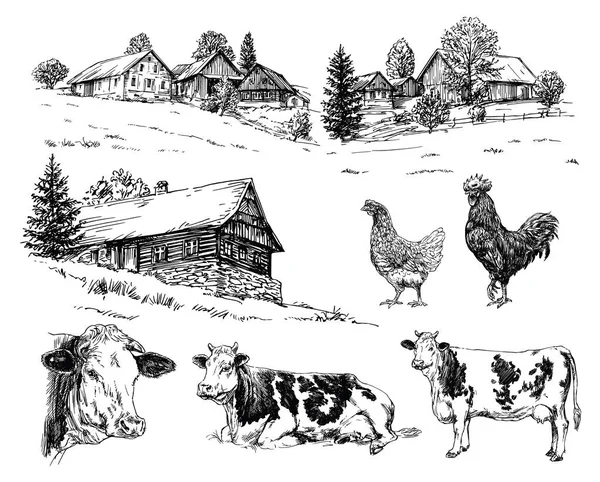 Granja, vacas, casas rurales. Conjunto dibujado a mano . — Vector de stock