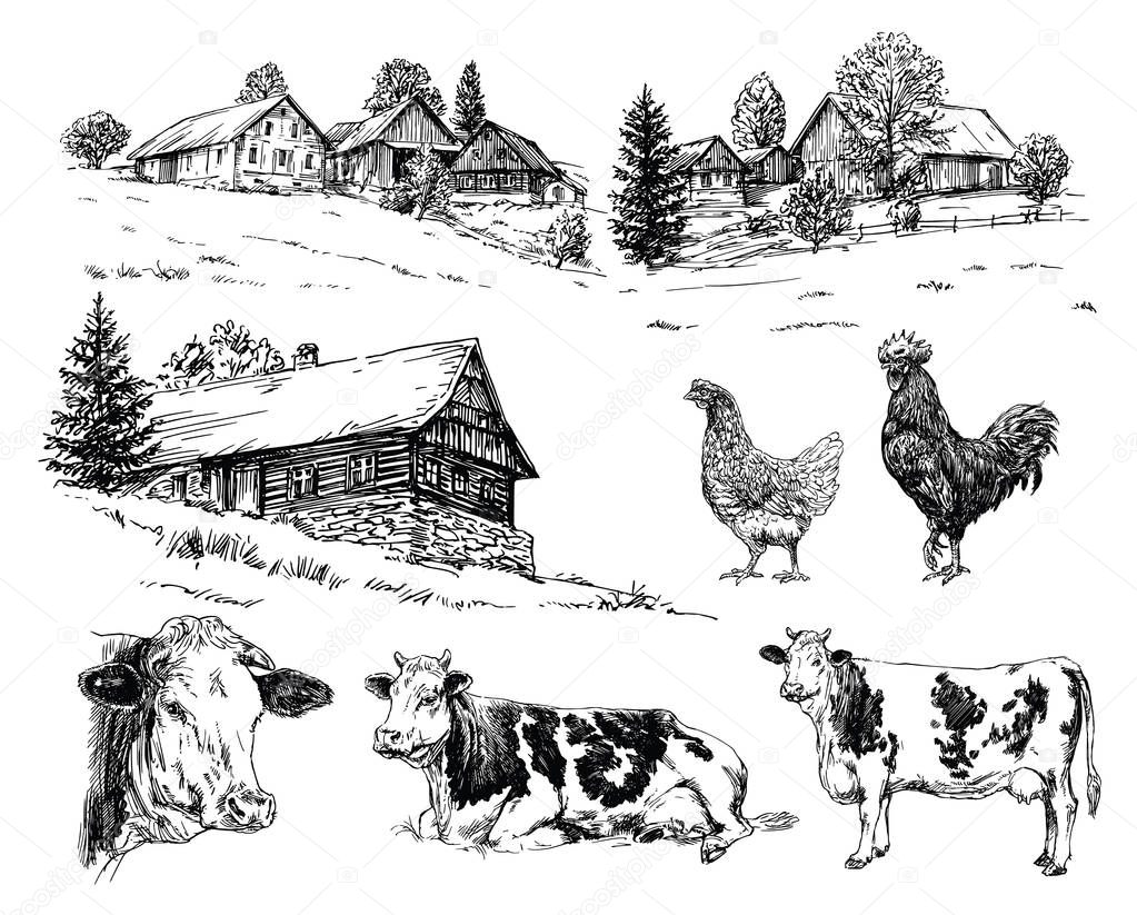 Farm, cows, rural houses. Hand drawn set.