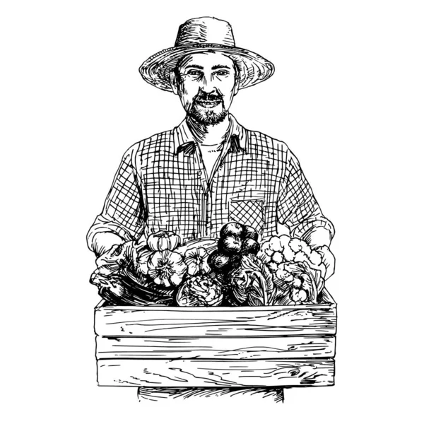 Zahradník, košík sklizené zeleniny. Ilustratio tažené rukou — Stockový vektor