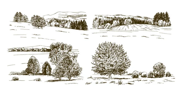 Ländliche Landschaft Wald Und Wiese Handgezeichnetes Set — Stockvektor