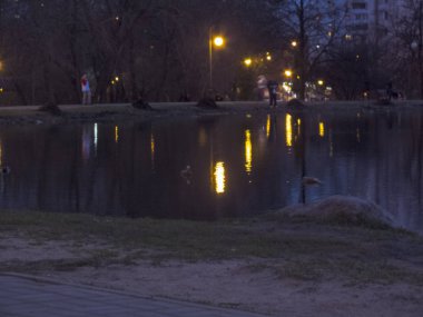 Gece bir şehir parkında gölet
