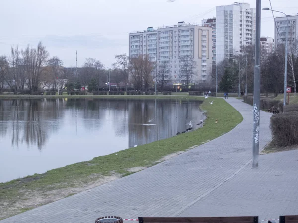 Tó a parkban a nap folyamán. — Stock Fotó