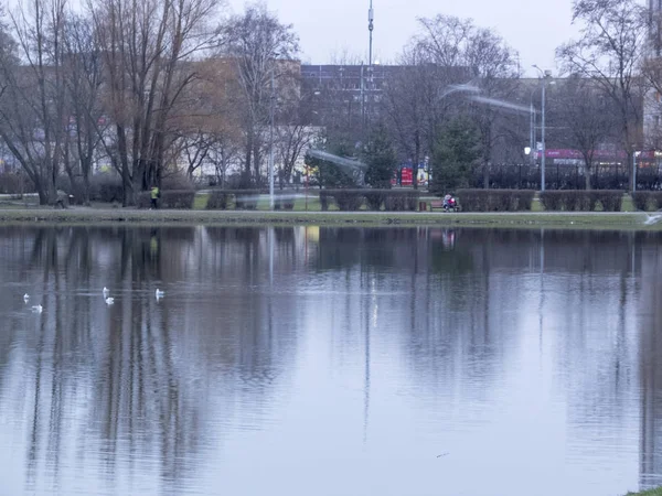 Teich im Park tagsüber. — Stockfoto