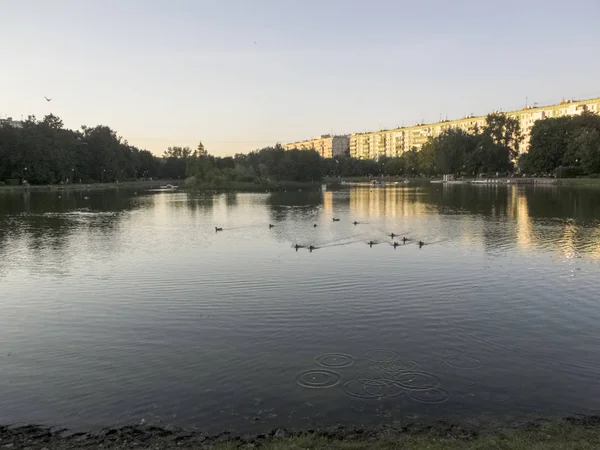 Ada ile bir gölet ile şehir parkı
