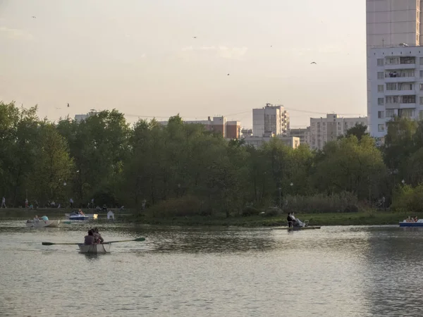 Stadspark met een vijver met een eiland — Stockfoto