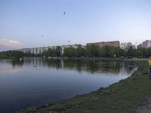 Parque da cidade com um lago com uma ilha — Fotografia de Stock