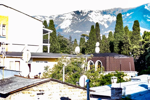 Dağlar yeşil ormanile büyümüş