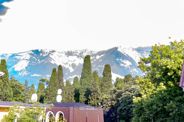 Dağlar yeşil ormanile büyümüş