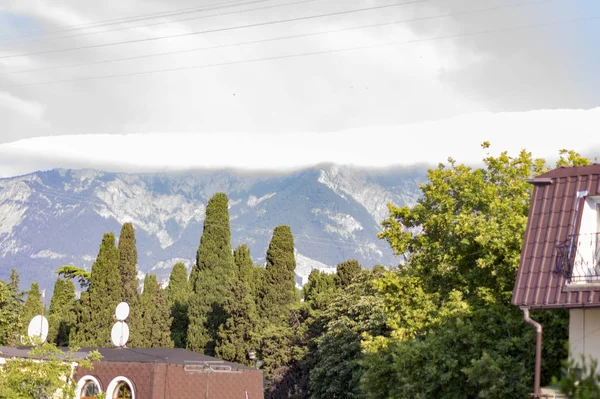 Dağlar yeşil ormanile büyümüş