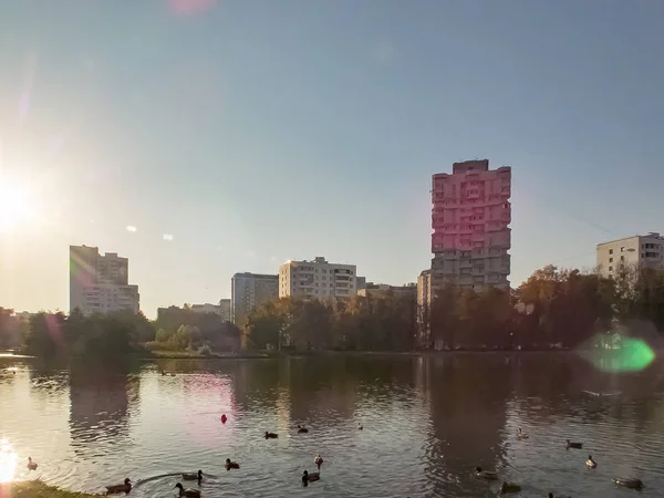 Осінь, осінній час. Осіннє місто, ставок, качки — стокове фото
