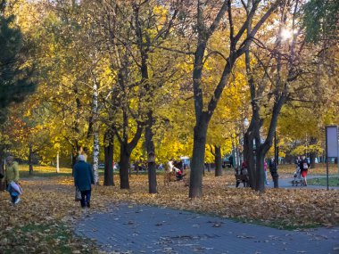 Sonbahar, sonbahar zamanı