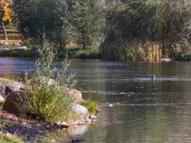 Sonbahar, sonbahar zamanı. Sonbahar şehri, gölet, ördekler