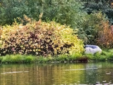 Sonbahar saati, şehirde sonbahar, bir gölet ile kentsel sonbahar manzara, insanlar yürüyüş ve diğer eğlenceli