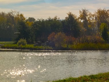 Sonbahar saati, şehirde sonbahar, bir gölet ile kentsel sonbahar manzara, insanlar yürüyüş ve diğer eğlenceli