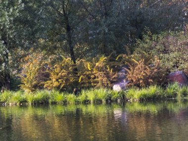 Sonbahar saati, şehirde sonbahar, bir gölet ile kentsel sonbahar manzara, insanlar yürüyüş ve diğer eğlenceli