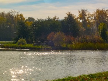 Sonbahar saati, şehirde sonbahar, bir gölet ile kentsel sonbahar manzara, insanlar yürüyüş ve diğer eğlenceli
