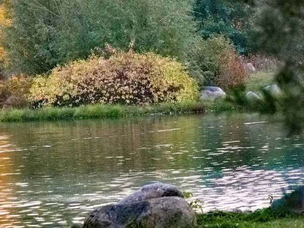 Sonbahar saati, şehirde sonbahar, bir gölet ile kentsel sonbahar manzara, insanlar yürüyüş ve diğer eğlenceli