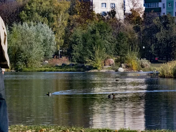 Musim gugur, musim gugur di kota, pemandangan kota musim gugur dengan kolam, orang-orang berjalan dan menyenangkan lainnya — Stok Foto