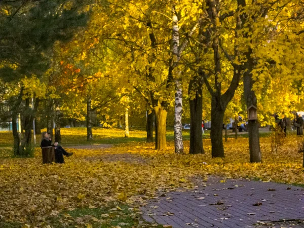 Осеннее время, осень в городе, городской осенний пейзаж с прудом, люди гуляют и другие развлечения — стоковое фото