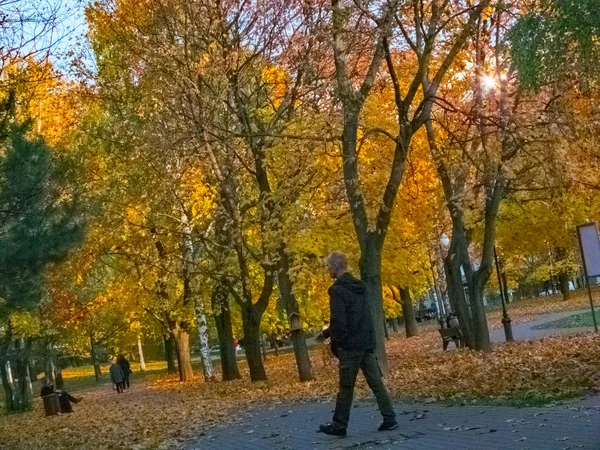 Tempo de outono, outono na cidade, paisagem urbana de outono com um lago, pessoas andando e outros divertimentos — Fotografia de Stock