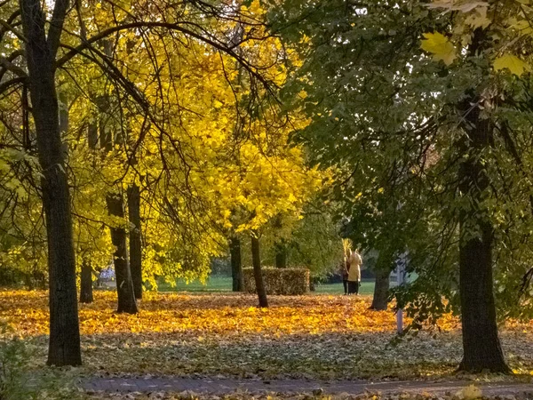 Sonbahar saati, şehirde sonbahar, bir gölet ile kentsel sonbahar manzara, insanlar yürüyüş ve diğer eğlenceli