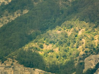 Dağlarda dinlenmek için yaz güneşli bir gün.