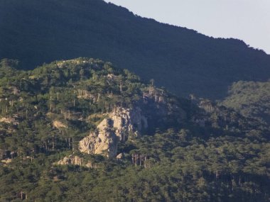 Güneşli bir yaz gününde kuruyan dağlar