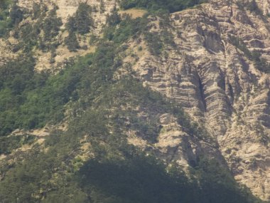 Dağlarda dinlenmek için yaz güneşli bir gün.