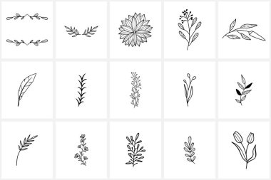 Hand drawn flowers logo elements and icons clipart