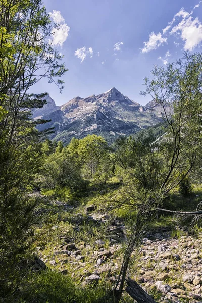 Paysage Des Pyrénées — Photo