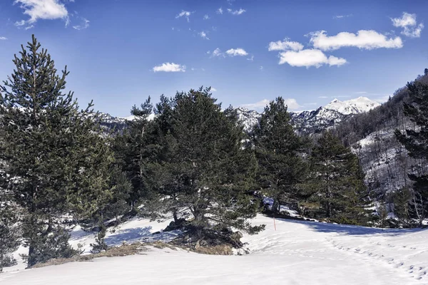 Snedækket Landskab Pyrenæerne - Stock-foto