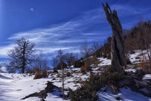 Paysage Enneigé Dans Les Pyrénées — Photo