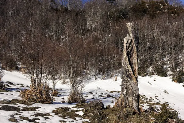 Zasněžená Krajina Pyrenejích — Stock fotografie