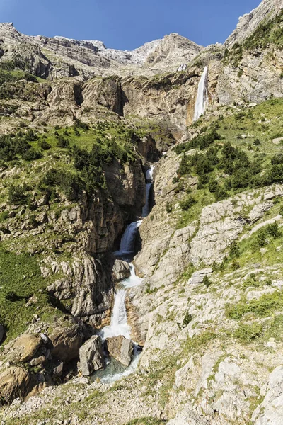 Landscape Forest — Stock Photo, Image